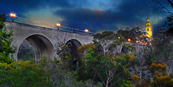 bridge to museum of man