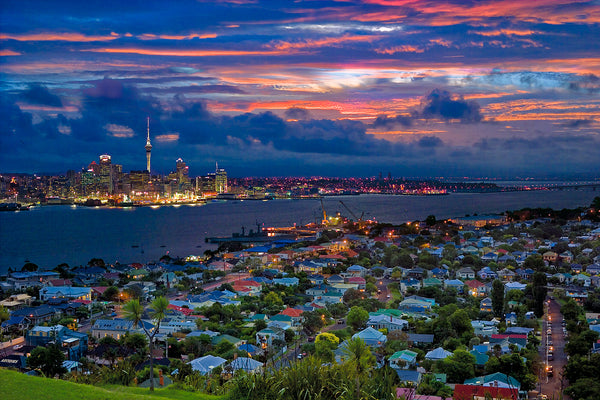 devonport to auckland
