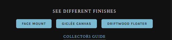 Acrylic, Canvas, or Luster? How to Choose a Fine Art Print Finish