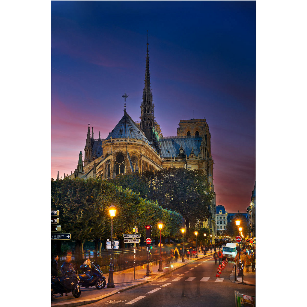 back of notre dame