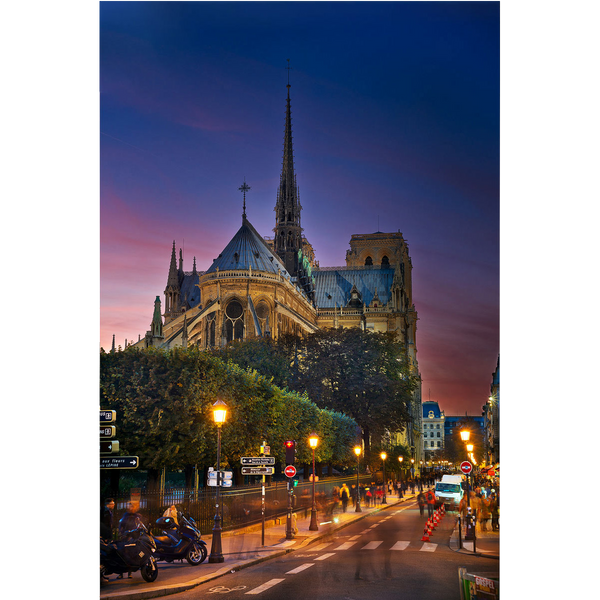 back of notre dame
