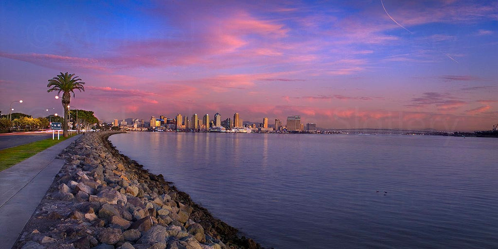 downtown san diego skyline